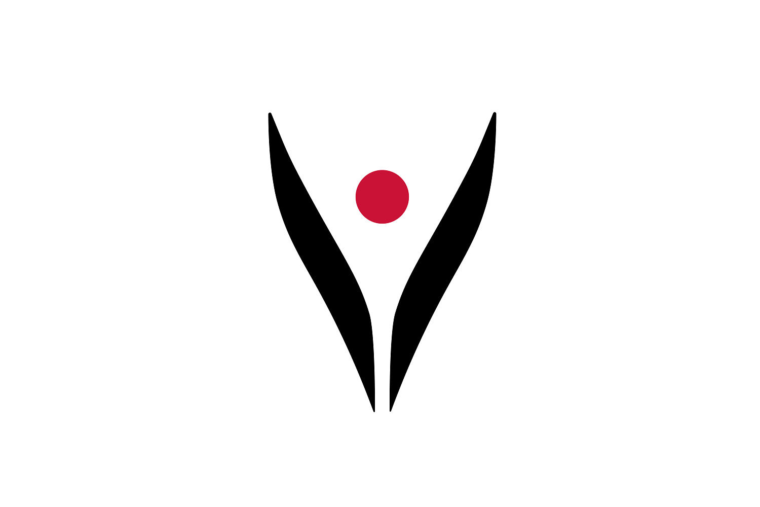 project image 1